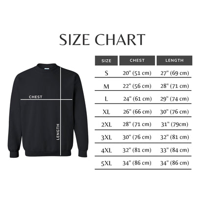 Cat And Bird Demon Hunter Embroidered Sweatshirt, K-Pop Demon Tiger Sweatshirt, KPOP Band Huntrix Sew on & Iron on Patch, Jinu Fan Gift